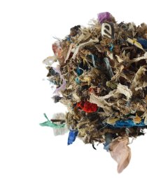 - design-ohne-titel-9.jpglg: