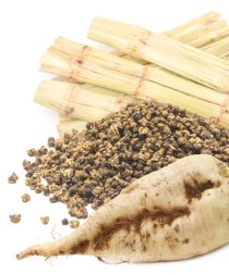 - file://a9xf8k2rkpojjttjlg: